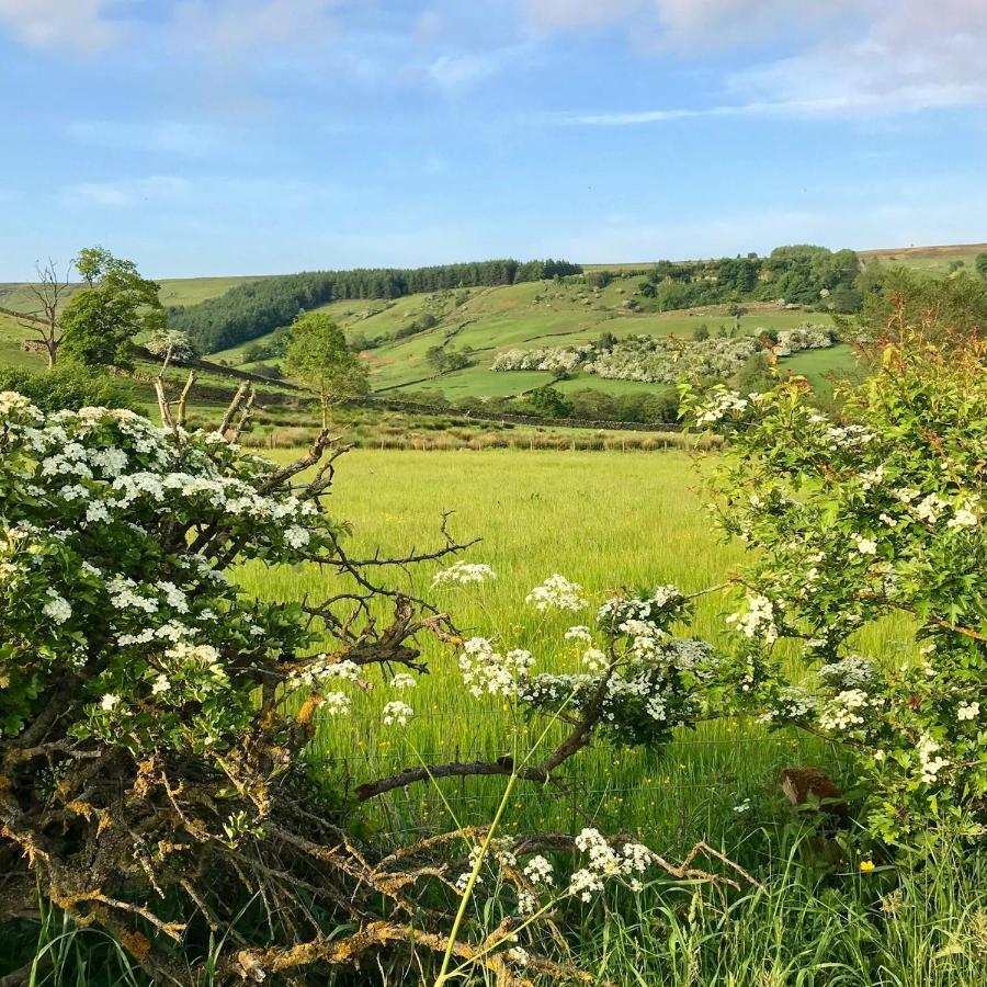 Climbers Cottage Rosedale Abbey 外观 照片